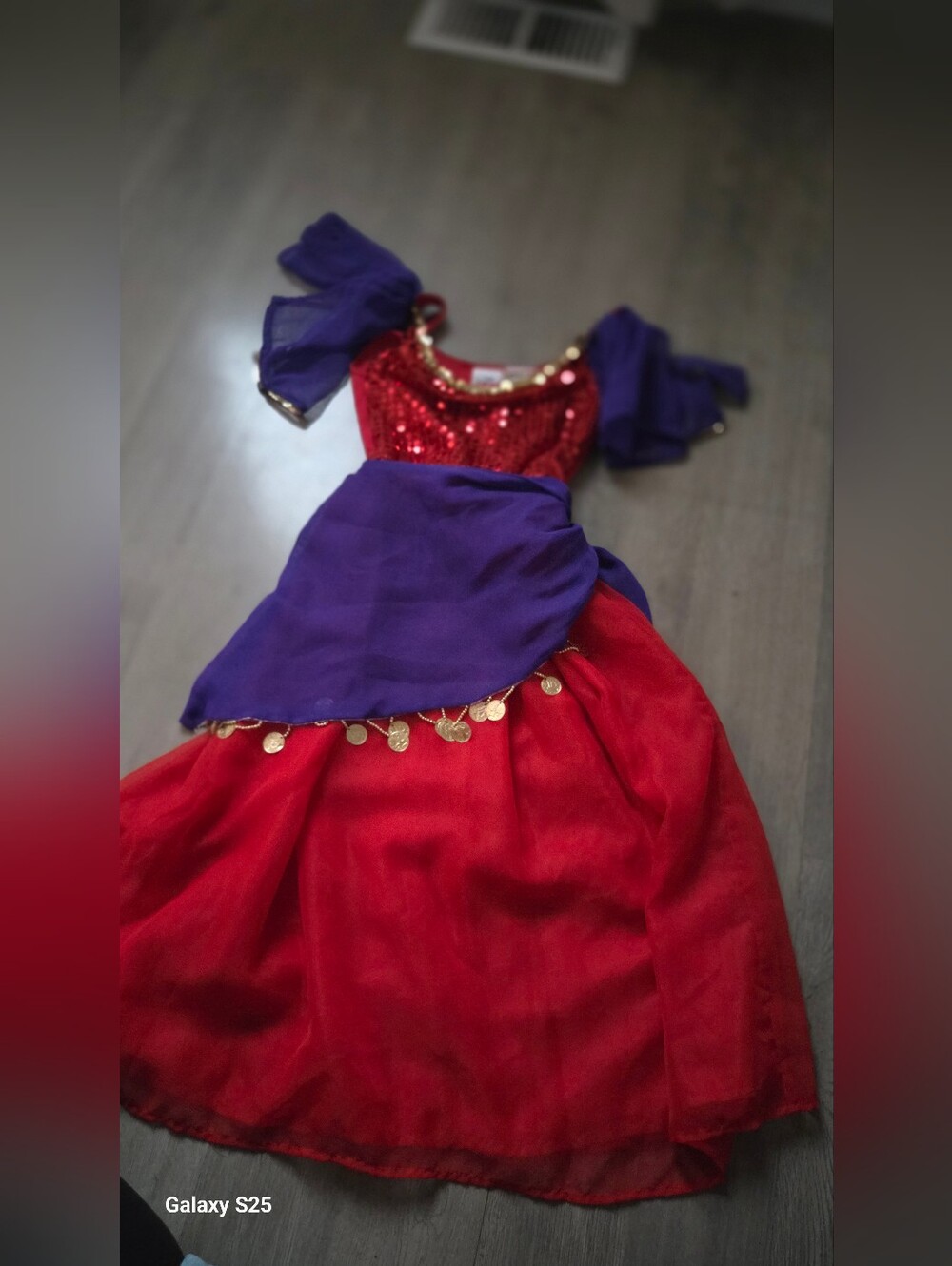 Disney Red and Purple Girls Dance Costume with Gold Coin Trim